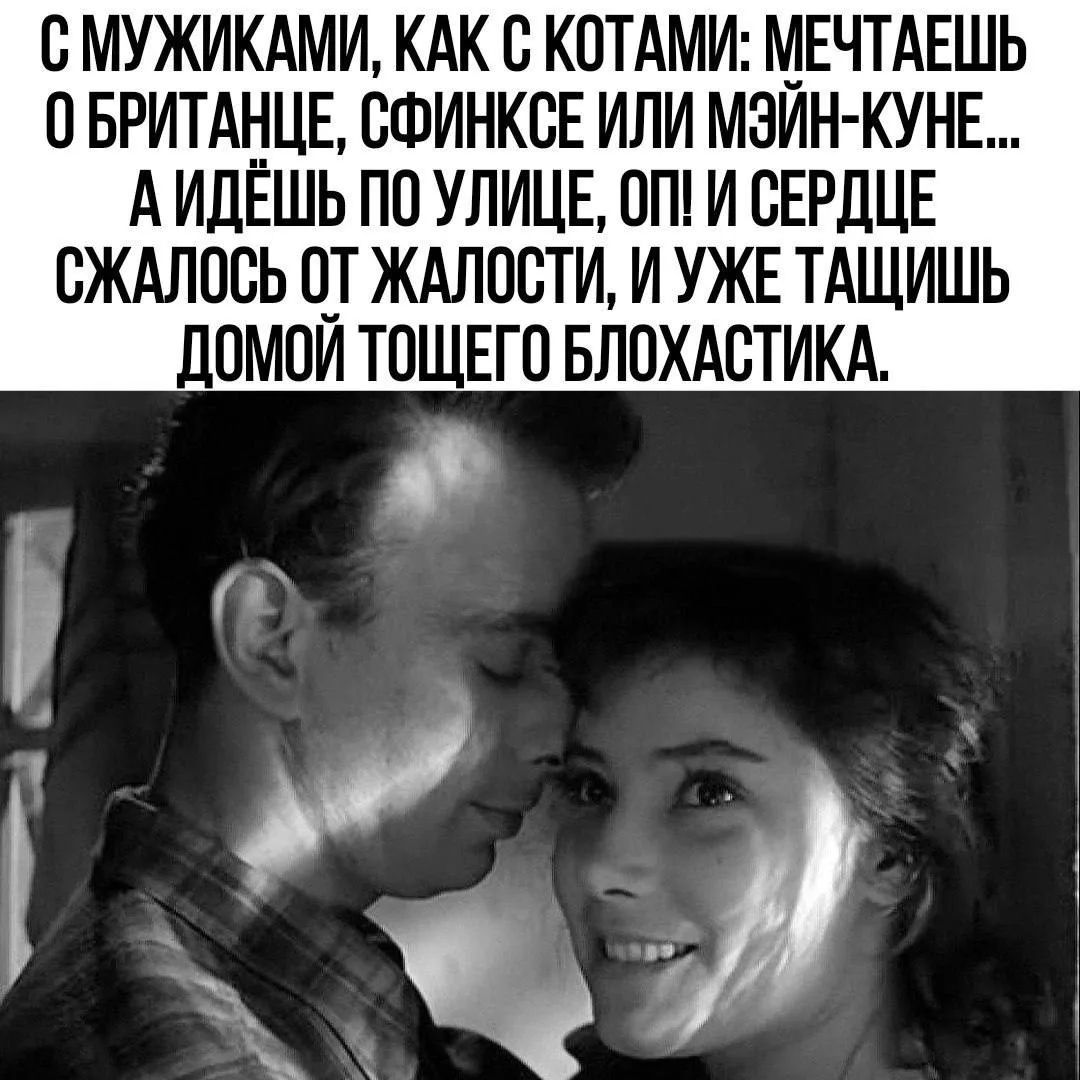С МУЖИКАМИ, КАК С КОТАМИ: МЕЧТАЕШЬ О БРИТАНЦЕ, СФИНКСЕ ИЛИ МЭЙН-КУНЕ... А ИДЁШЬ ПО УЛИЦЕ, ОП! И СЕРДЦЕ СЖАЛОСЬ ОТ ЖАЛОСТИ, И УЖЕ ТАЩИШЬ ДОМОЙ ТОЩЕГО БЛОХАСТИКА.