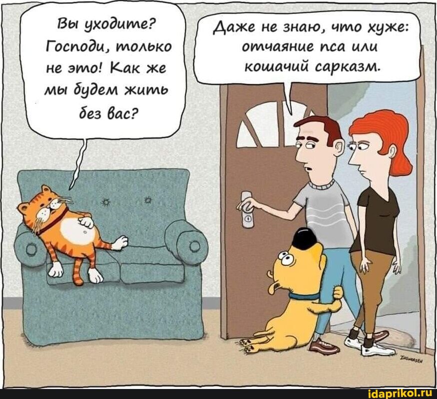 Вы уходите? Господи, только не это! Как же мы будем жить без вас? Даже не знаю, что хуже: отчаяние пса или кошачий сарказм.