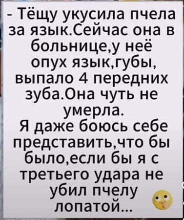 - Тёщу укусила пчела за язык. Сейчас она в больнице, у неё опух язык, губы, выпало 4 передних зуба. Она чуть не умерла. Я даже боюсь себе представить, что бы было, если бы я с третьего удара не убил пчелу лопатой...