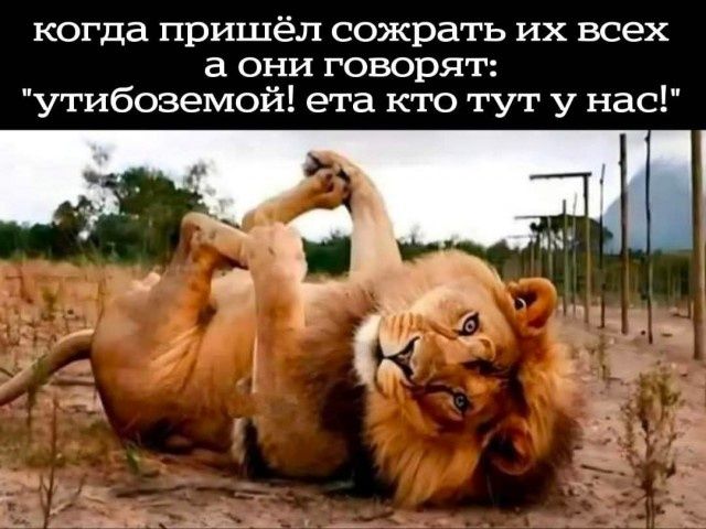 когда пришёл сожрать их всех а они говорят: 