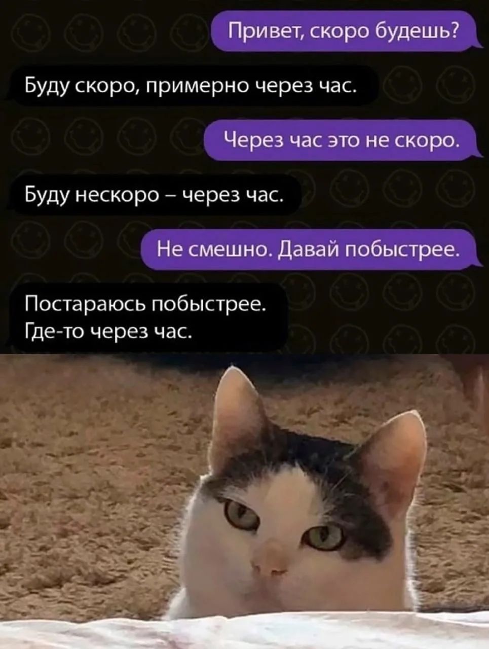 Привет, скоро будешь? Буду скоро, примерно через час. Через час это не скоро. Буду нескоро – через час. Не смешно. Давай побыстрее. Постараюсь побыстрее. Где-то через час.