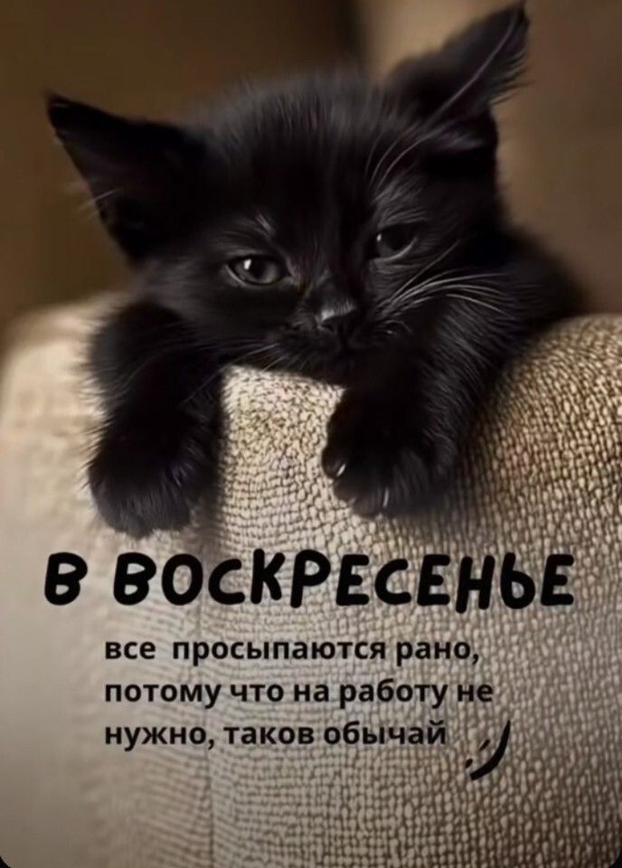 В ВОСКРЕСЕНЬЕ все просыпаются рано, потому что на работу не нужно, таков обычай :)