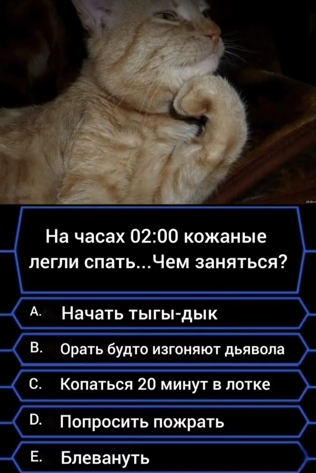 На часах 02:00 кожаные легли спать... Чем заняться? A. Начать тыгы-дык B. Орать будто изгоняют дьявола C. Копаться 20 минут в лотке D. Попросить пожрать E. Блевануть