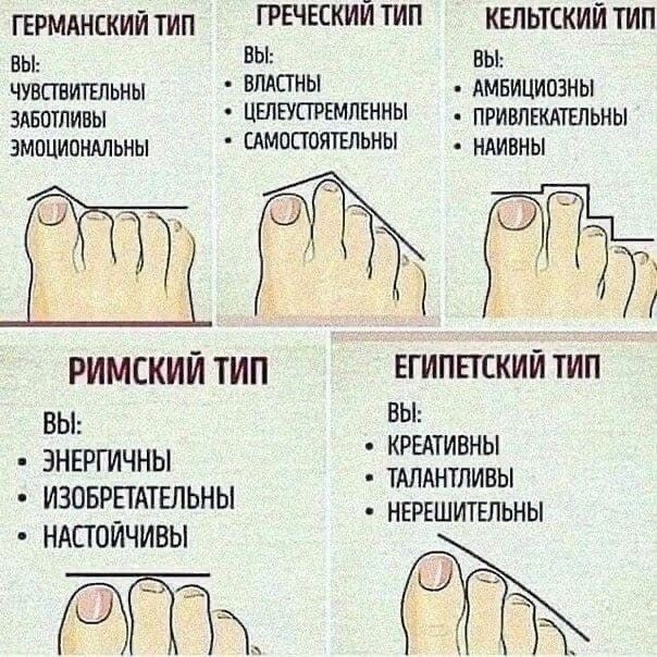 ГЕРМАНСКИЙ ТИП Вы: ЧУВСТВИТЕЛЬНЫ ЗАБОТЛИВЫ ЭМОЦИОНАЛЬНЫ ГРЕЧЕСКИЙ ТИП Вы: ВЛАСТНЫ ЦЕЛЕУСТРЕМЛЕННЫ САМОСТОЯТЕЛЬНЫ КЕЛЬТСКИЙ ТИП Вы: АМБИЦИОЗНЫ ПРИВЛЕКАТЕЛЬНЫ НАИВНЫ РИМСКИЙ ТИП Вы: ЭНЕРГИЧНЫ ИЗОБРЕТАТЕЛЬНЫ НАСТОЙЧИВЫ ЕГИПЕТСКИЙ ТИП Вы: КРЕАТИВНЫ ТАЛАНТЛИВЫ НЕРЕШИТЕЛЬНЫ