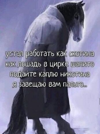 устал работать как скотина как лошадь в цирке шапито подайте каплю никотина я завещаю вам пальто...