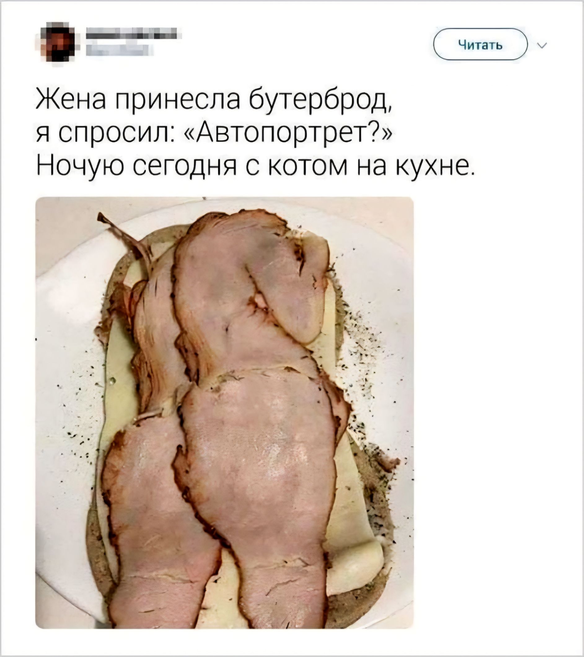 Жена принесла бутерброд, я спросил: «Автопортрет?» Ночую сегодня с котом на кухне. Читать