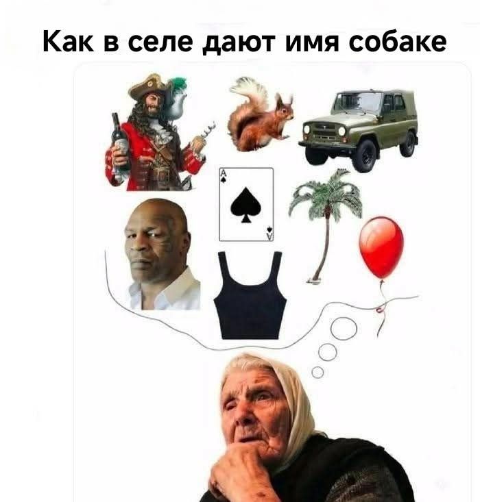 Как в селе дают имена собаке. Пират, Белка, УАЗик, Тайсон, Пика, Пальма, Майка, Шарик.
