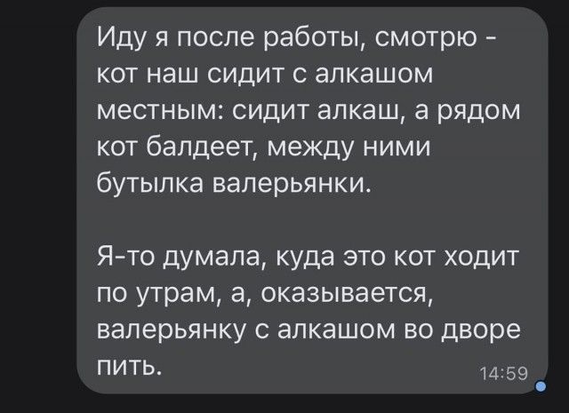 Иду я после работы, смотрю – кот наш сидит с алкашом местным: сидит алкаш, а рядом кот балдеет, между ними бутылка валерьянки. Я-то думала, куда это кот ходит по утрам, а, оказывается, валерьянку с алкашом во дворе пить.