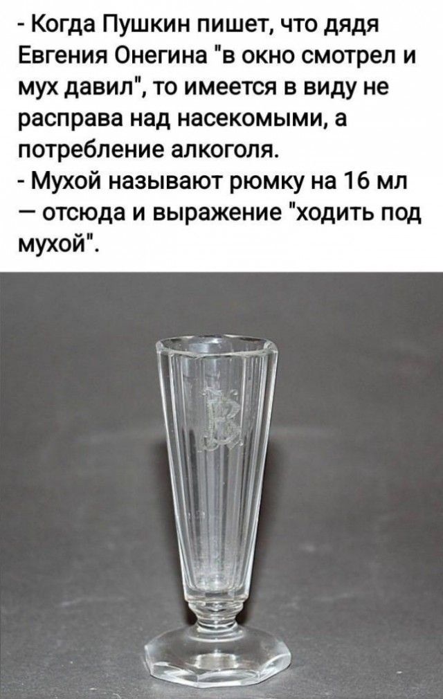 Когда Пушкин пишет, что дядя Евгения Онегина 