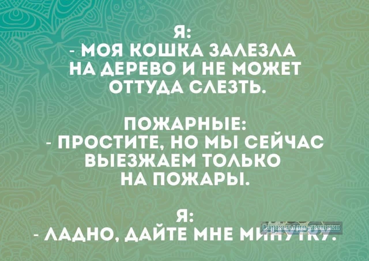Я: - МОЯ КОШКА ЗАЛЕЗЛА НА ДЕРЕВО И НЕ МОЖЕТ ОТТУДА СЛЕЗТЬ. ПОЖАРНЫЕ: - ПРОСТИТЕ, НО МЫ СЕЙЧАС ВЫЕЗЖАЕМ ТОЛЬКО НА ПОЖАРЫ. Я: - ЛАДНО, ДАЙТЕ МНЕ МИНУТКУ.
