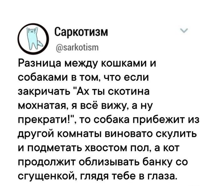 Разница между кошками и собаками в том, что если закричать 