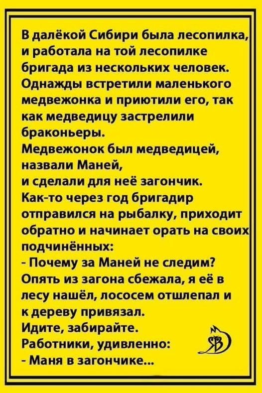 В далёкой Сибири была лесопилка, и работала на той лесопилке бригада из нескольких человек. Однажды встретили маленького медвежонка и приютили его, так как медведицу застрелили браконьеры. Медвежонок был медведицей, назвали Маней, и сделали для неё загончик. Как-то через год бригадир отправился на рыбалку, приходит обратно и начинает орать на своих