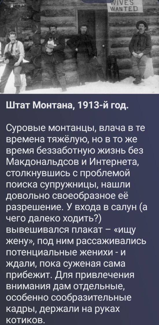 WIVES WANTED. Штат Монтана, 1913-й год. Суровые монтанцы, влача в те времена тяжёлую, но в то же время беззаботную жизнь без Макдональдсов и Интернета, столкнувшись с проблемой поиска супружницы, нашли довольно своеобразное её разрешение. У входа в салун (а чего далеко ходить?) вывешивался плакат – «ищу жену», под ним рассаживались потенциальные же