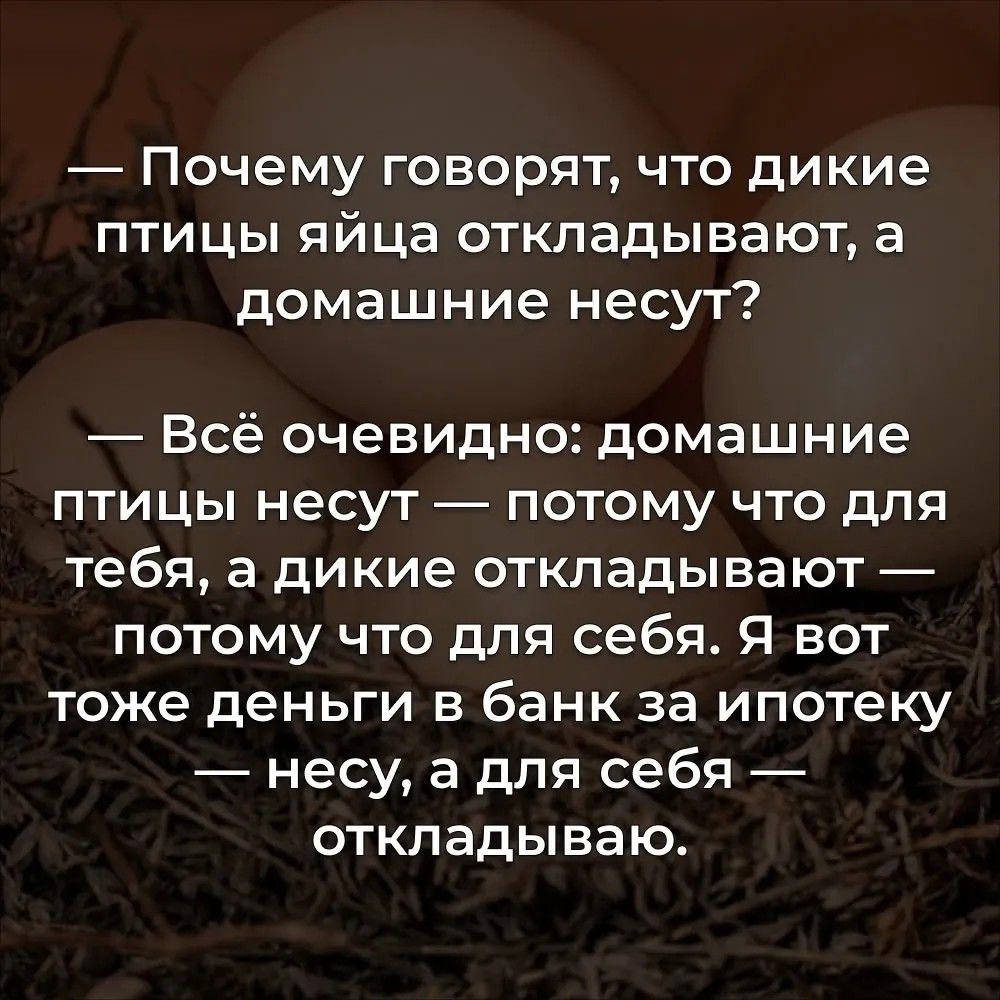 — Почему говорят, что дикие птицы яйца откладывают, а домашние несут?
— Всё очевидно: домашние птицы несут — потому что для тебя, а дикие откладывают — потому что для себя. Я вот тоже деньги в банк за ипотеку — несу, а для себя — откладываю.