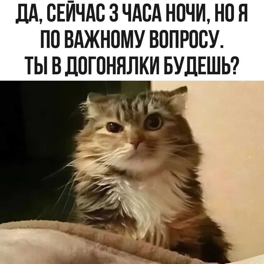 ДА, СЕЙЧАС 3 ЧАСА НОЧИ, НО Я ПО ВАЖНОМУ ВОПРОСУ. ТЫ В ДОГОНЯЛКИ БУДЕШЬ?