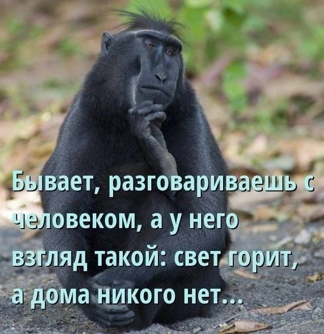 Бывает, разговариваешь с человеком, а у него взгляд такой: свет горит, а дома никого нет...