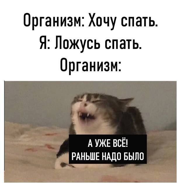 Организм: Хочу спать. Я: Ложусь спать. Организм: А уже всё! Раньше надо было
