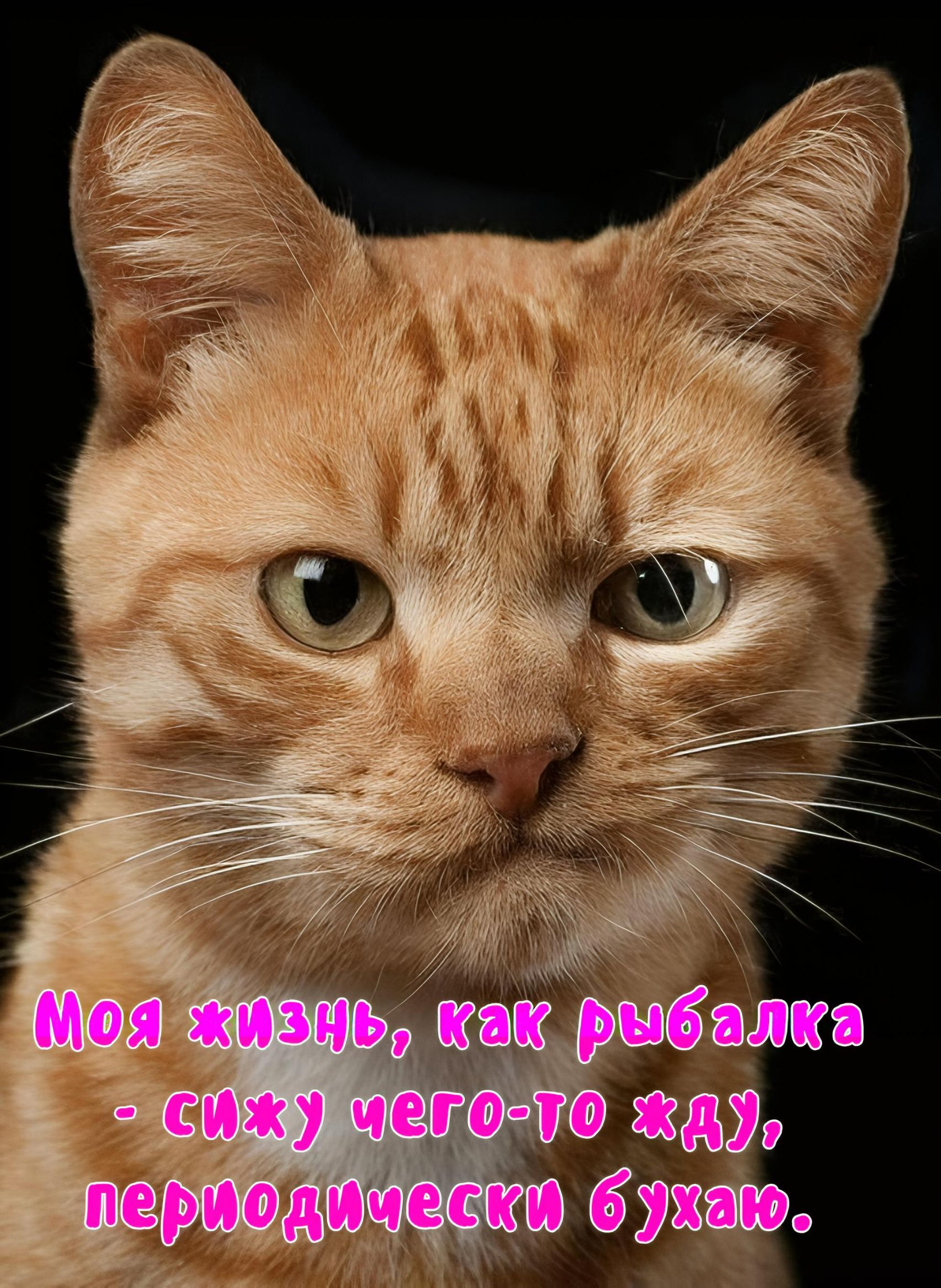 Моя жизнь, как рыбалка - сижу чего-то жду, периодически бухаю.