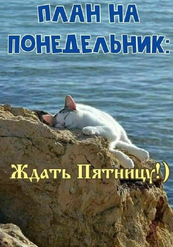 ПЛАН НА ПОНЕДЕЛЬНИК: Ждать Пятницу! :)