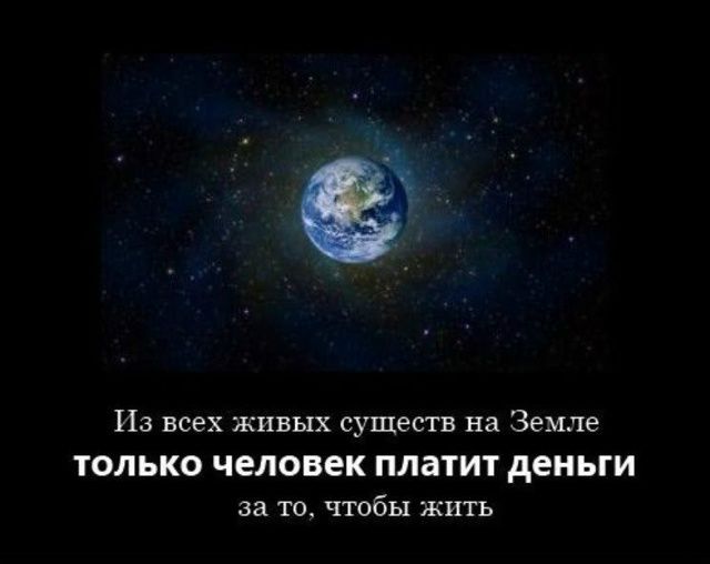 Из всех живых существ на Земле только человек платит деньги за то, чтобы жить