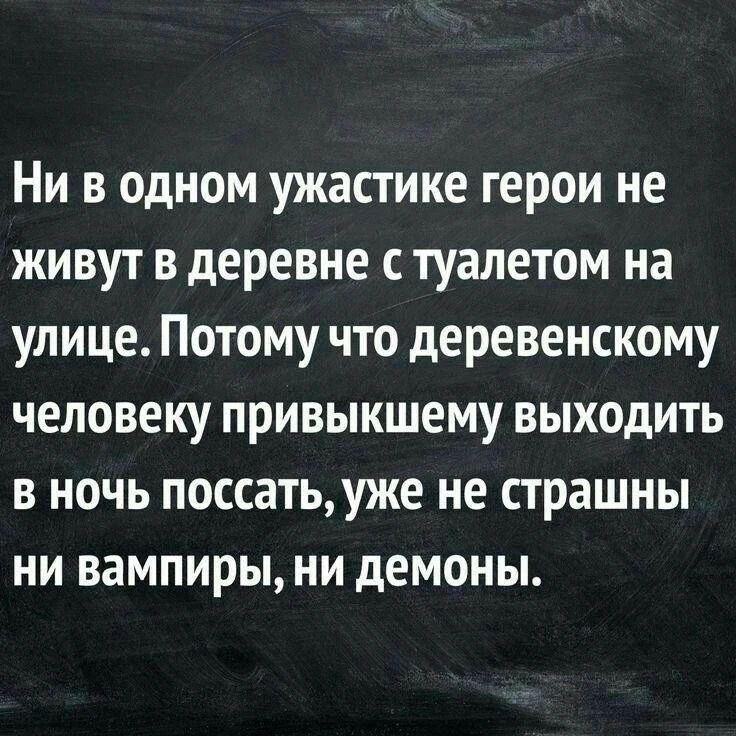 Ни в одном ужастике герои не живут в деревне с туалетом на улице. Потому что деревенскому человеку привыкшему выходить в ночь поссать, уже не страшны ни вампиры, ни демоны.