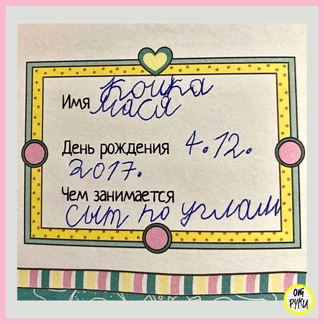 Имя: Кошка Мася. День рождения: 4.12.2017. Чем занимается: Ссыт по углам.