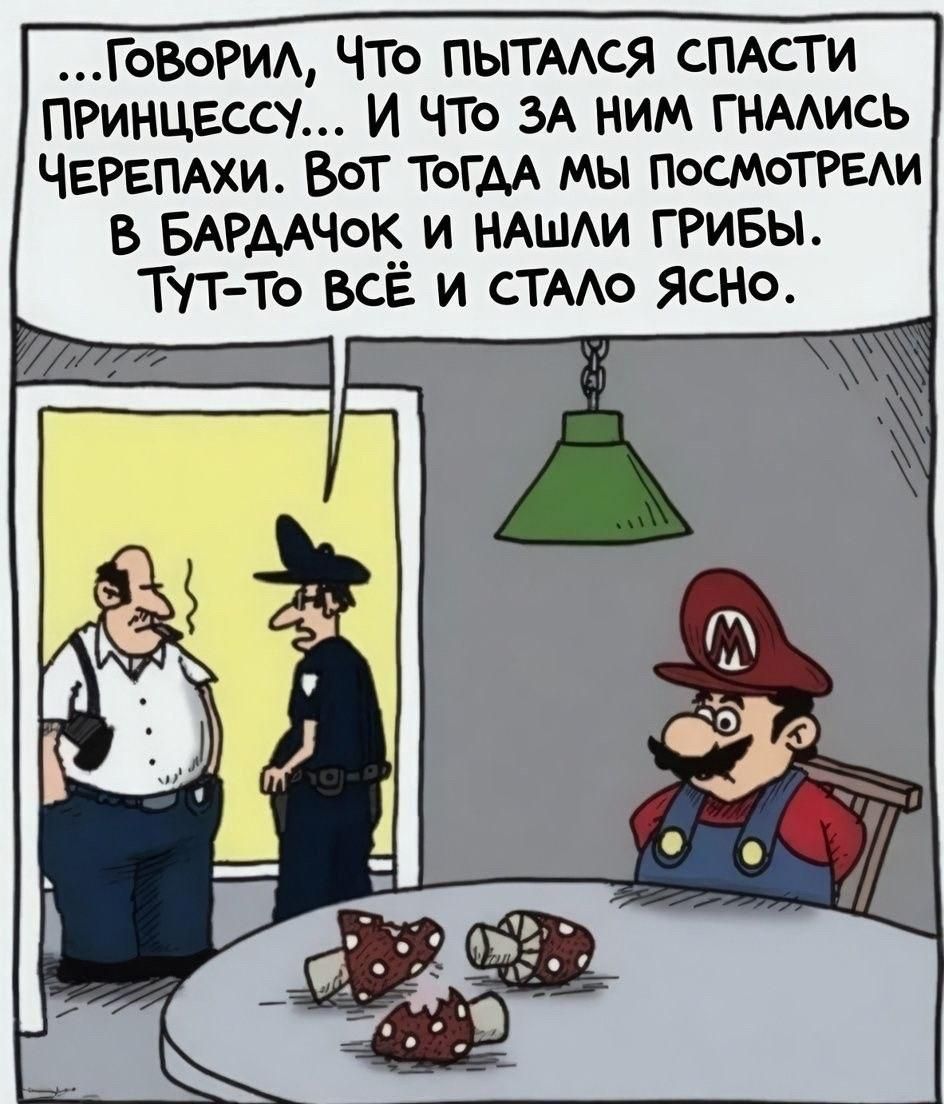...говорил, что пытался спасти принцессу... и что за ним гнались черепахи. Вот тогда мы посмотрели в бардачок и нашли грибы. Тут-то всё и стало ясно.
