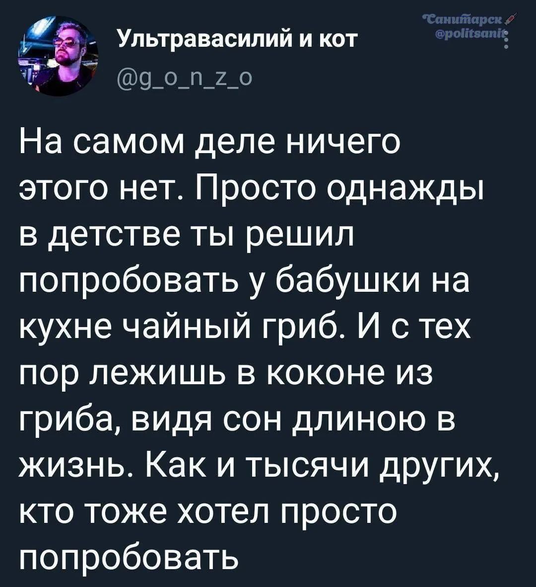 Ультравасилий и кот @g_o_n_z_o Санитарек @politsanic На самом деле ничего этого нет. Просто однажды в детстве ты решил попробовать у бабушки на кухне чайный гриб. И с тех пор лежишь в коконе из гриба, видя сон длиною в жизнь. Как и тысячи других, кто тоже хотел просто попробовать