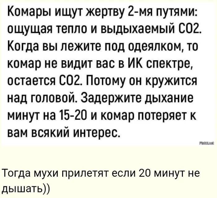 Комары ищут жертву 2-мя путями: ощущая тепло и выдыхаемый СО2. Когда вы лежите под одеялком, то комар не видит вас в ИК спектре, остается СО2. Потому он кружится над головой. Задержите дыхание минут на 15-20 и комар потеряет к вам всякий интерес. Тогда мухи прилетят если 20 минут не дышать))