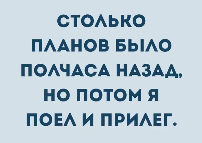 СТОЛЬКО ПЛАНОВ БЫЛО ПОЛЧАСА НАЗАД, НО ПОТОМ Я ПОЕЛ И ПРИЛЕГ.