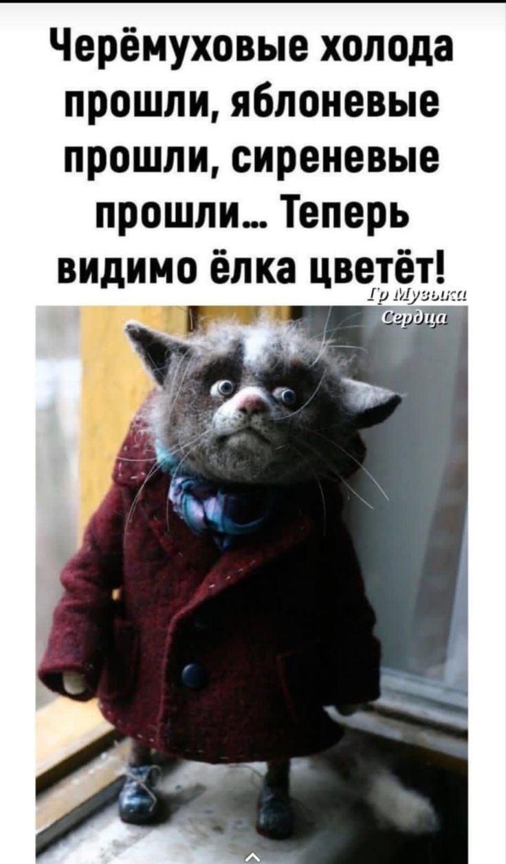 Черёмуховые холода прошли, яблоневые прошли, сиреневые прошли... Теперь видимо ёлка цветёт! Гр Музыка Сердца
