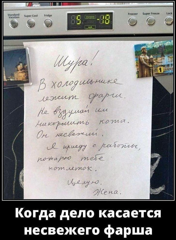 Шура! В холодильнике лежит фарш. Не вздумай им накормить кота. Он несвежий. Я приеду с работы, пожарю тебе котлеток. Целую. Жена. Когда дело касается несвежего фарша. Standard/Vacation Super Cool Fridge Freezer Super Freeze Lock Standard Lock 8.5 -18