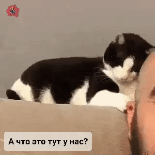А что это тут у нас?