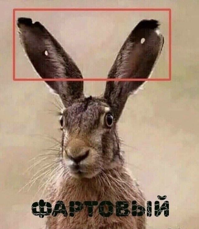 ФАРТОВЫЙ