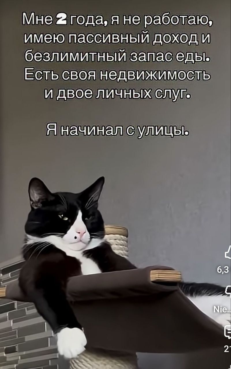 Мне 2 года, я не работаю, имею пассивный доход и безлимитный запас еды. Есть своя недвижимость и двое личных слуг. Я начинал с улицы.
