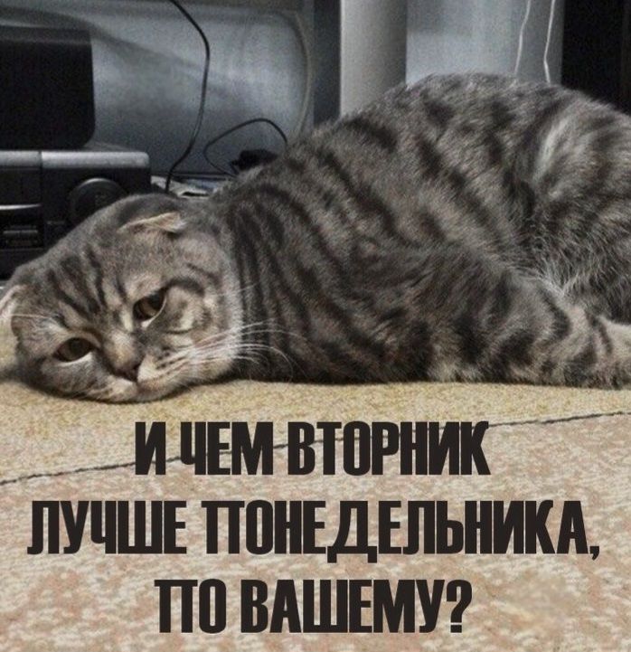 И ЧЕМ ВТОРНИК ЛУЧШЕ ТПОНЕДЕЛЬНИКА, ТПО ВАШЕМУ?