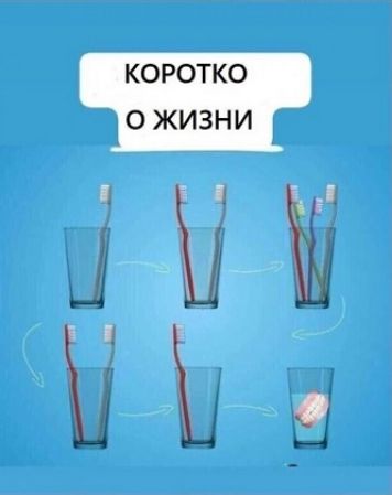 КОРОТКО О ЖИЗНИ