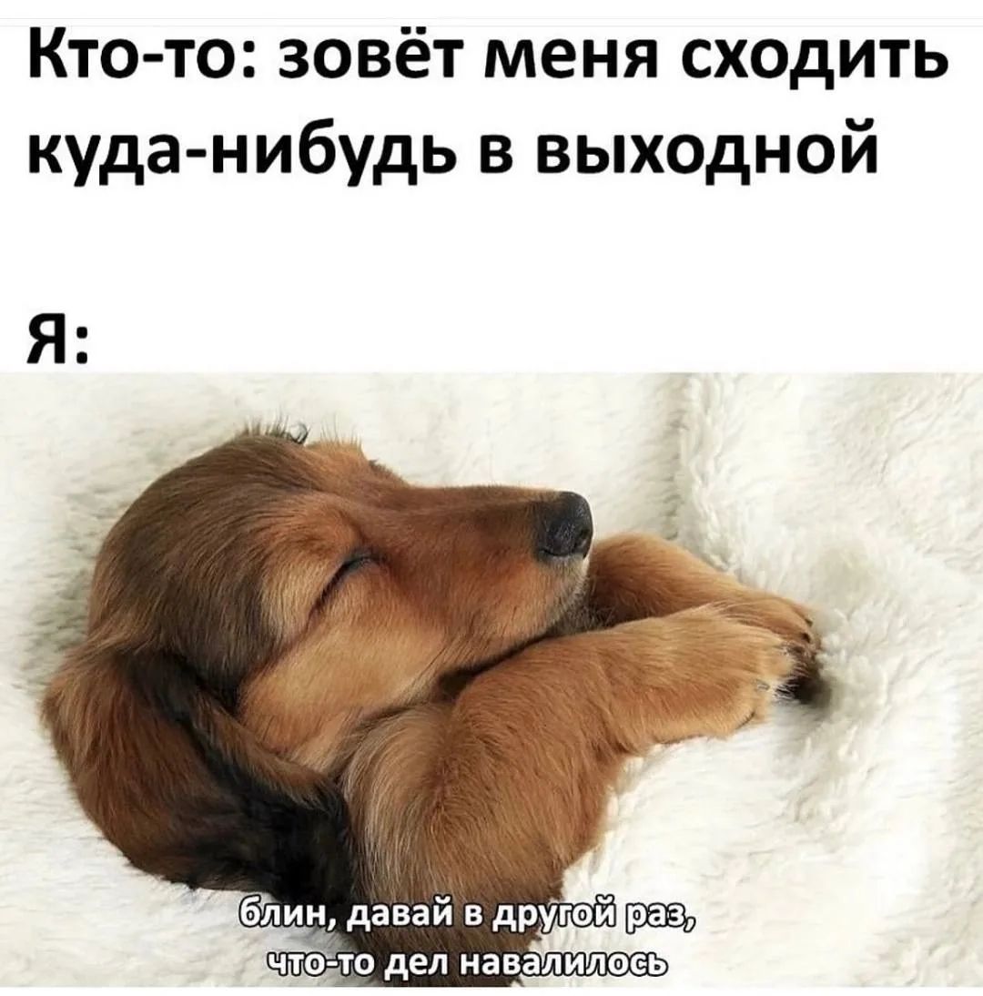 Кто-то: зовёт меня сходить куда-нибудь в выходной Я: Блин, давай в другой раз, что-то дел навалилось