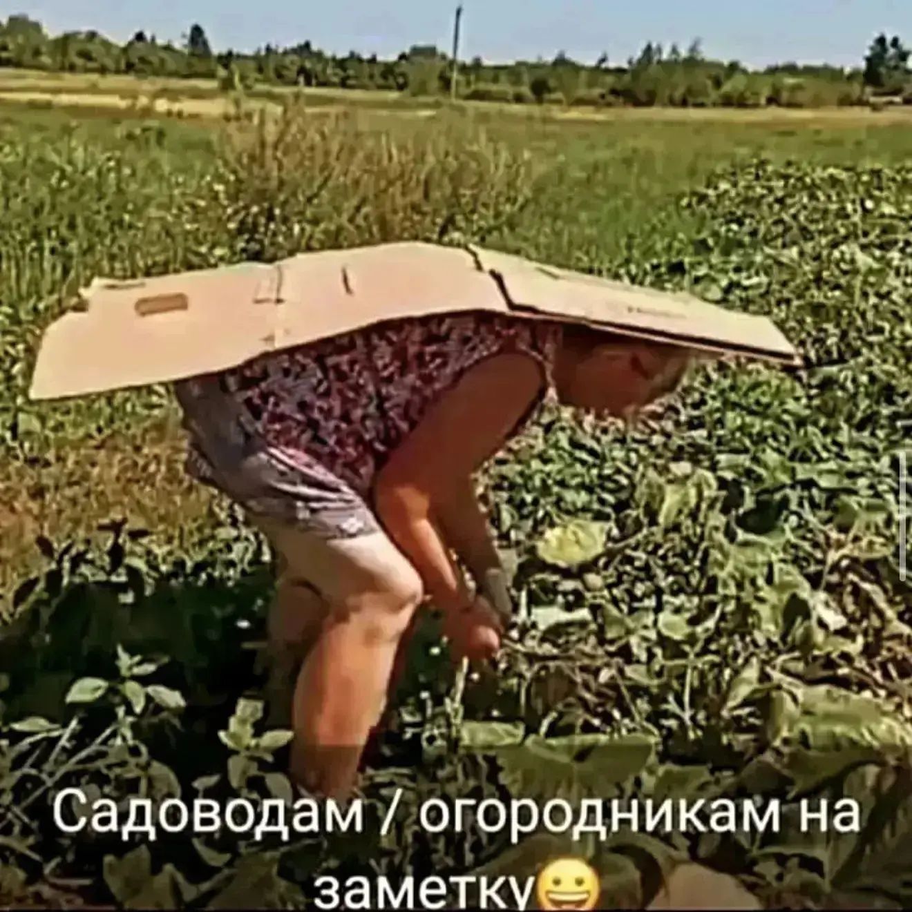 Садоводам / огородникам на заметку