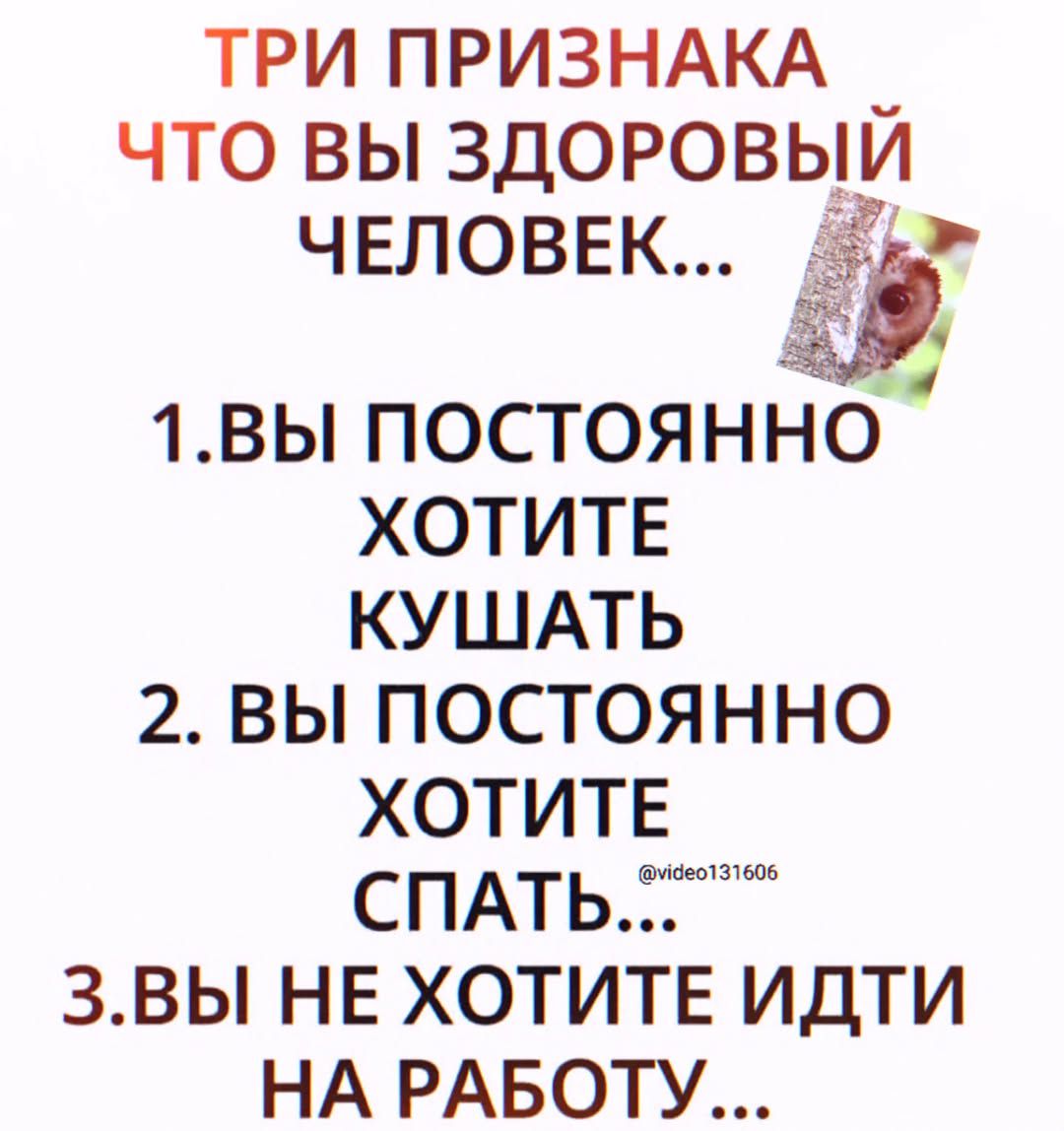 ТРИ ПРИЗНАКА ЧТО ВЫ ЗДОРОВЫЙ ЧЕЛОВЕК... 1. ВЫ ПОСТОЯННО ХОТИТЕ КУШАТЬ 2. ВЫ ПОСТОЯННО ХОТИТЕ СПАТЬ... @video131606 3. ВЫ НЕ ХОТИТЕ ИДТИ НА РАБОТУ...