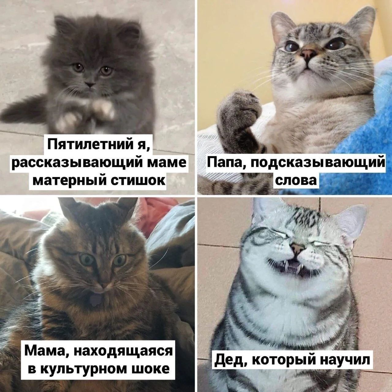 Пятилетний я, рассказывающий маме матерный стишок. Папа, подсказывающий слова. Мама, находящаяся в культурном шоке. Дед, который научил.