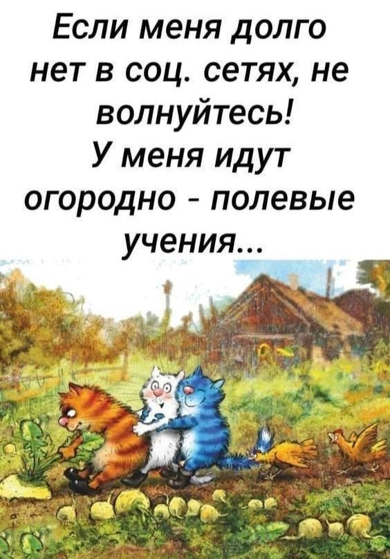 Если меня долго нет в соц. сетях, не волнуйтесь! У меня идут огородно - полевые учения...