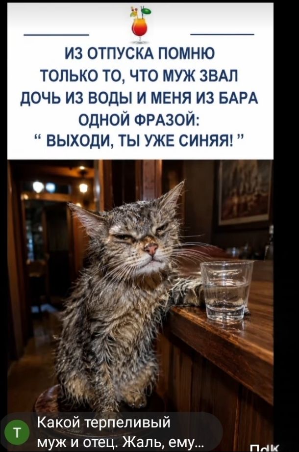 ИЗ ОТПУСКА ПОМНЮ ТОЛЬКО ТО, ЧТО МУЖ ЗВАЛ ДОЧЬ ИЗ ВОДЫ И МЕНЯ ИЗ БАРА ОДНОЙ ФРАЗОЙ: «ВЫХОДИ, ТЫ УЖЕ СИНЯЯ!» Какой терпеливый муж и отец. Жаль, ему...