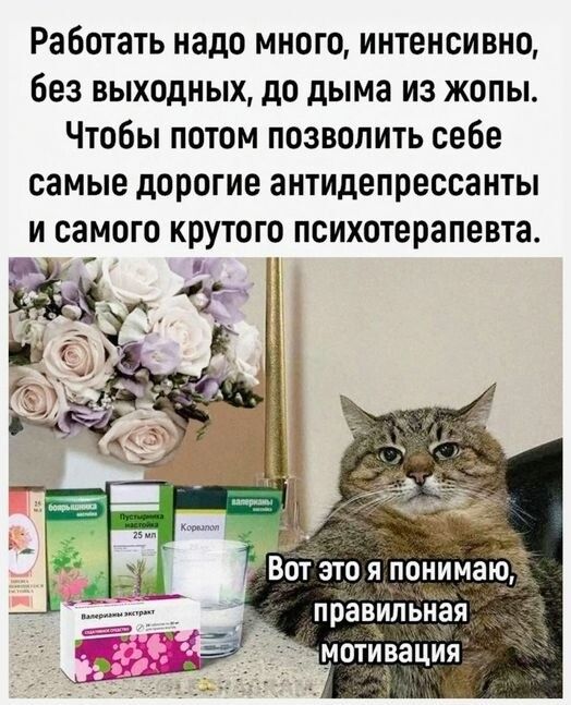 Работать надо много, интенсивно, без выходных, до дыма из жопы. Чтобы потом позволить себе самые дорогие антидепрессанты и самого крутого психотерапевта. Вот это я понимаю, правильная мотивация.