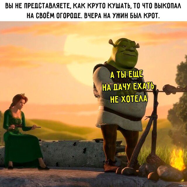 ВЫ НЕ ПРЕДСТАВЛЯЕТЕ, КАК КРУТО КУШАТЬ, ТО ЧТО ВЫКОПАЛ НА СВОЁМ ОГОРОДЕ. ВЧЕРА НА УЖИН БЫЛ КРОТ. А ТЫ ЕЩЕ НА ДАЧУ ЕХАТЬ НЕ ХОТЕЛА