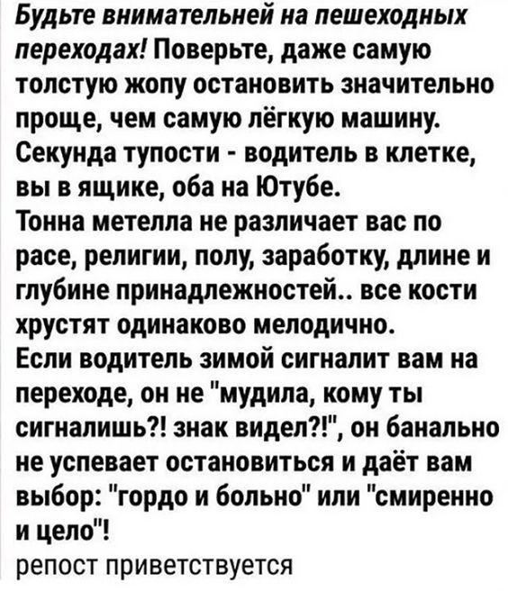 Будьте внимательней на пешеходных переходах! Поверьте, даже самую толстую жопу остановить значительно проще, чем самую лёгкую машину. Секунда тупости - водитель в клетке, вы в ящике, оба на Ютубе. Тонна метелла не различает вас по расе, религии, полу, заработку, длине и глубине принадлежностей.. все кости хрустят одинаково мелодично. Если водитель 