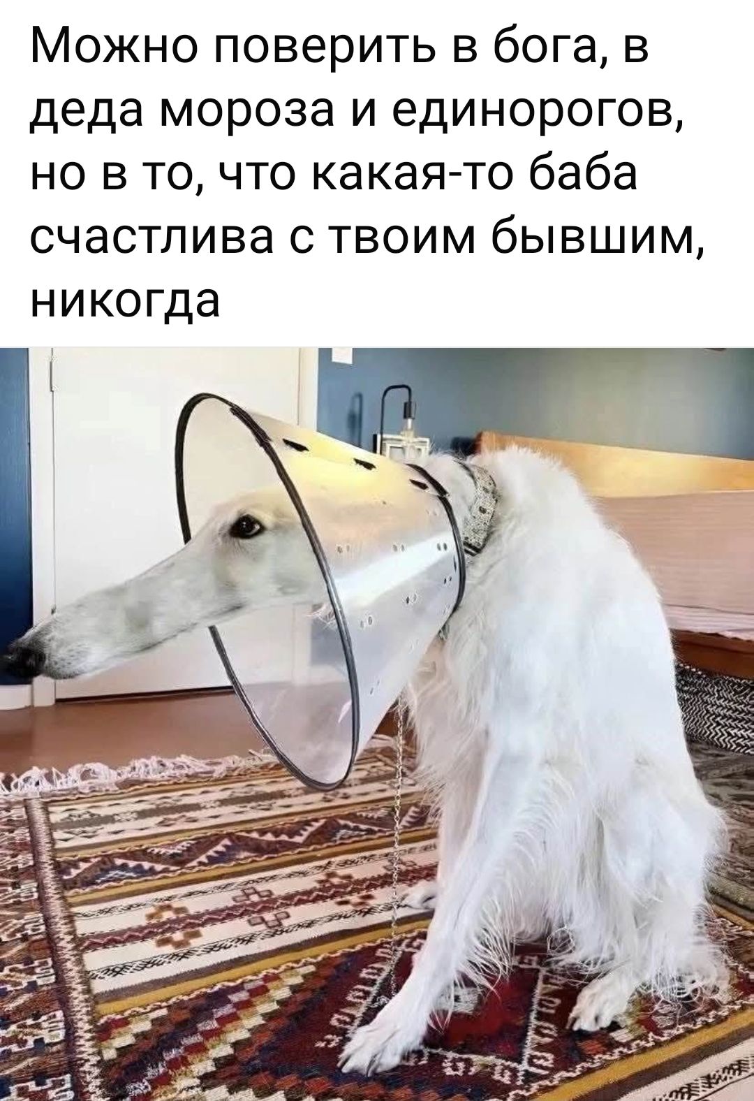 Можно поверить в бога, в деда мороза и единорогов, но в то, что какая-то баба счастлива с твоим бывшим, никогда
