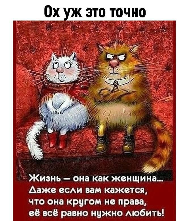 Ох уж это точно Жизнь — она как женщина... Даже если вам кажется, что она кругом не права, её всё равно нужно любить!