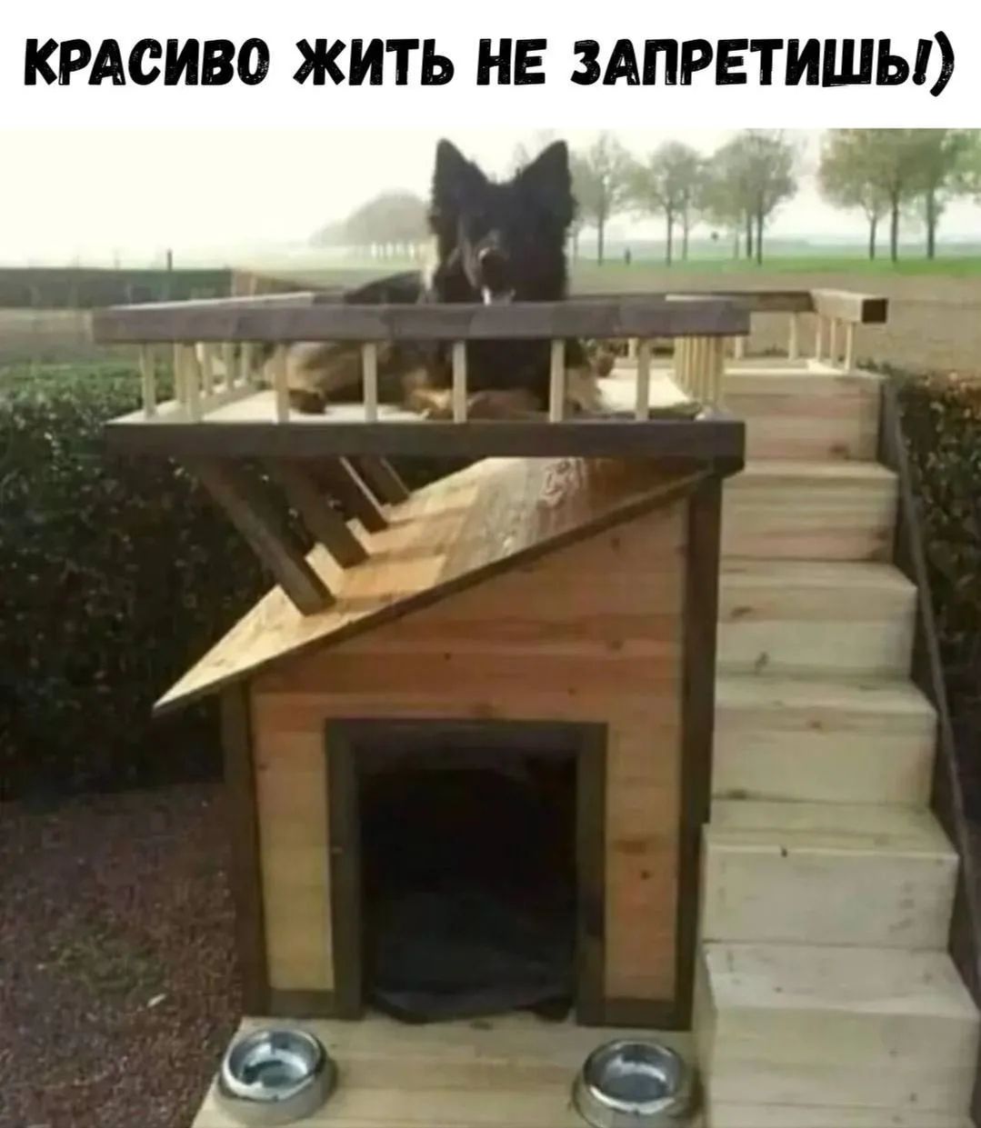 КРАСИВО ЖИТЬ НЕ ЗАПРЕТИШЬ!)