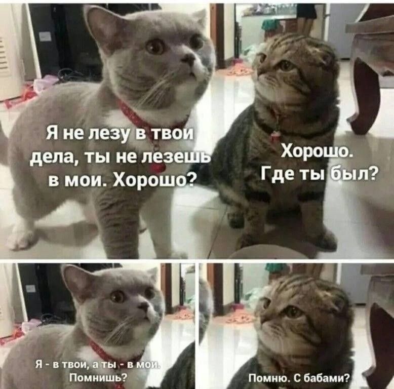 Я не лезу в твои дела, ты не лезешь в мои. Хорошо? Хорошо. Где ты был? Я - в твои, а ты - в мои. Помнишь? Помню. С бабами?